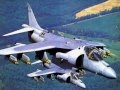 A Tribute to the U.S. Military