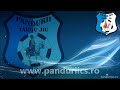 Video / Pandurii vs. Otelul  1-0 / Gol anulat Liviu Mihai (33)