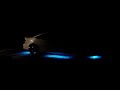 neon lights on a car