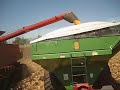 corn harvest 2007