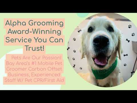 Mobile Pet Grooming in Courtland CA | Call Now (800) 270-1365