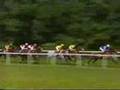 1995 King George VI/QE and Prix de L'arc de Triomphe