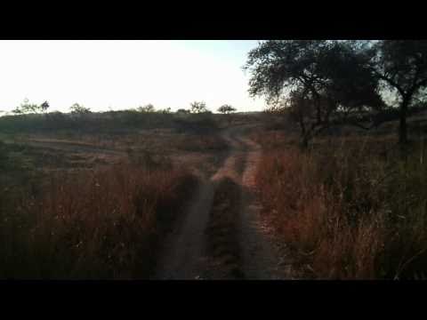 Safari into the Ranthambore National Park and Tiger Reserve