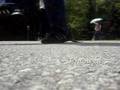 videos de c-walk - cheaters dilema