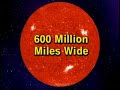 jack horkheimer: star gazer jack horkheimer: star gazer
