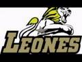 LEONES UDG - DUST OF HISTORY