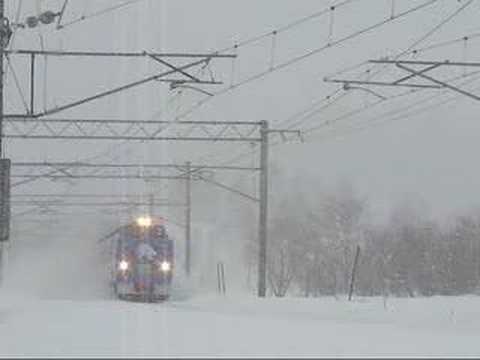 Let's go to Asahiyama-zoo!!