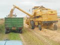 harvest 2008 dallachy hungryhills