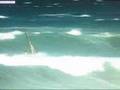 Extreme Windsurfing