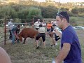 Garraiada no Casalinho da Foz 1