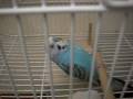 videos de IMGP1174