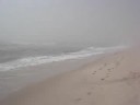 Hazy Beach Day
