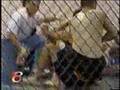 Elite Cage Fighting  On Sports Locker 8