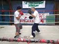 Reaction Punches Reaction Punches