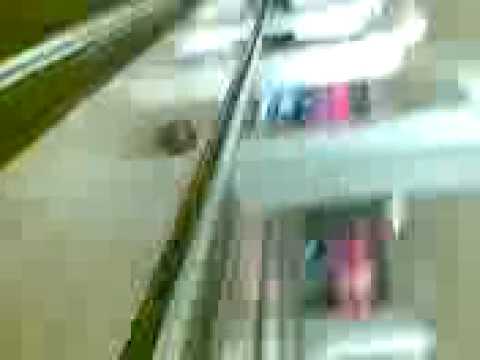 bowling