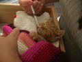 Abandoned Kitten day 1. FEEDING TIME!