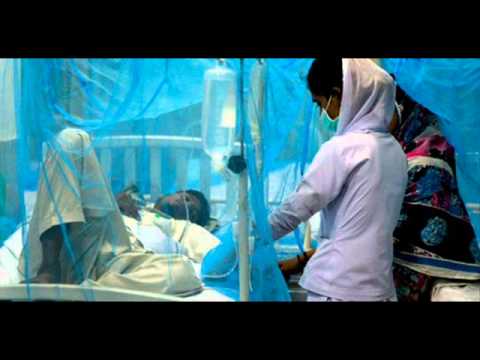 how to control dengue fever