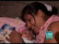 amapolita de chipao