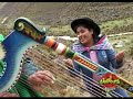 amapolita de chipao