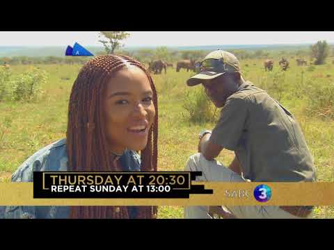 We explore the benchmark for luxury safaris Camp Ndlovu