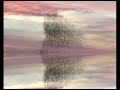 The Twilight Autumn Overture