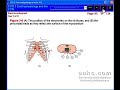 ECG 2 Electrophysiology & the ECG
