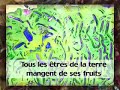 Lobita jipes et Dim