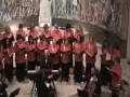 Lullaby - J. Brahms - Ensemble vocale strumentale Butterfly