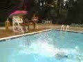 Jakes BellyFlop Jakes BellyFlop
