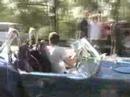 Cobra Moving