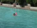 ahran's kick
