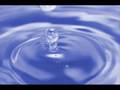 plym-plym_0001.wmv