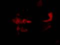videos de iamx 22.11.2008, berlin