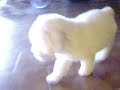 Cliquez pour voir la vid�o