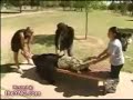 Criss Angel spliting woman apart