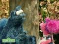 Sesame Street: The Cheshire Cookie