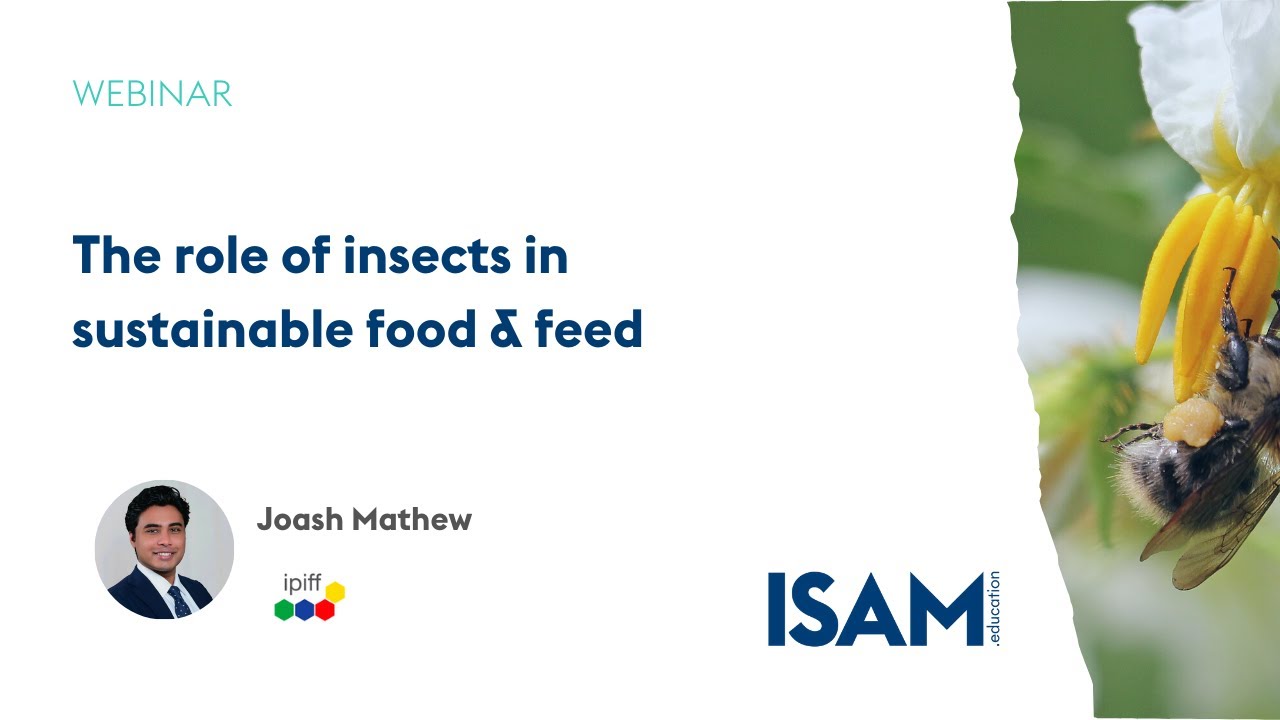 The role of insects in sustainable food & feed | Joash Mathew