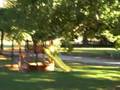 videos de White Tail Deer in the front yard