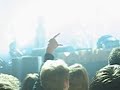 anouk plays r u kidding me in Dauwpop
