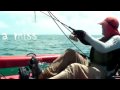 astro: chasing mackerel around newry island Central Queensland