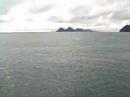 Video taken on a tour of Kenai Fjord in Alaska.  Pictures taken of seals and whales.  July 2003.