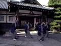 CR暴れん坊将軍A