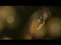 Wendy Waldman - My Last Thought (Music Video)