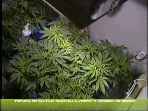 indoor - 05: Contiene 2 parti Se non le carica in automatico entra nel mio canale troverai tutti i video in fila,dal basso verso l'altro ..! buona visione Non si inte...