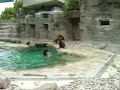 Dierentuin Schonbrunn