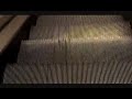 schindler escalator at boscovs clearview mall
