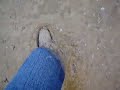 Exploring mud flats