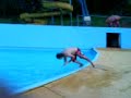MOV00841.3GP