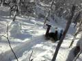 videos de Sled Run1.avi