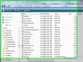 Downloading and Installing a WordPress Theme